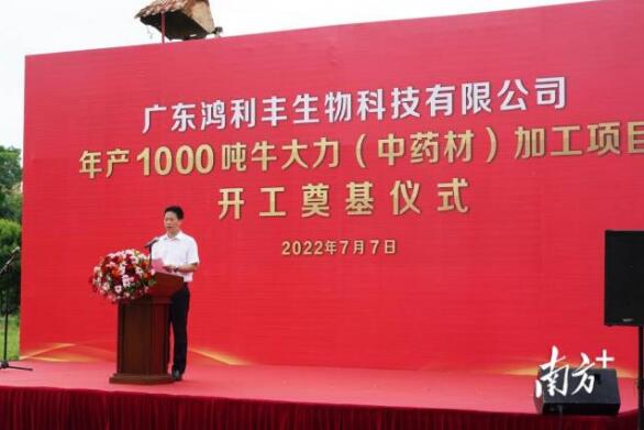 年產(chǎn)1000噸！牛大力（中藥材）加工項(xiàng)目在興寧開(kāi)工奠基